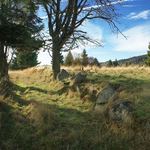 Zaniklá cesta lemovaná řadami balvanů.