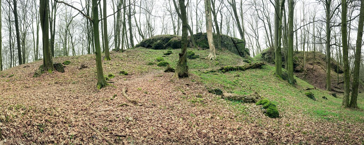 Líšná u Zbiroha, Zaniklý středověký hrad Řebřík