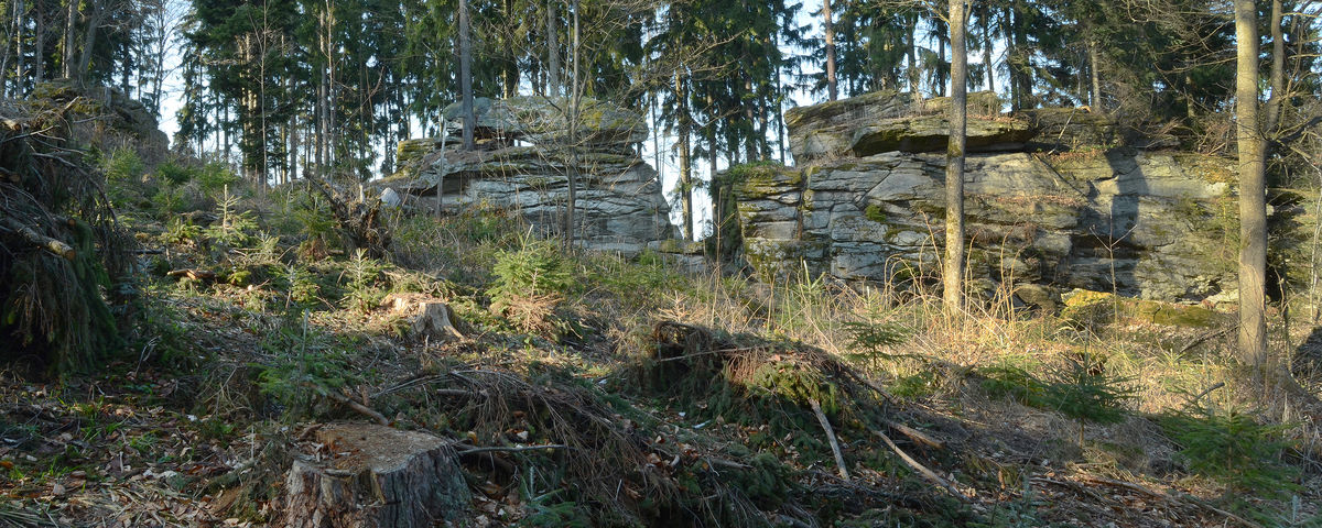 Zálezly u Čkyně, Pravěké hradiště Věnec