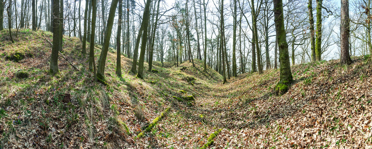 Počaply u Březnice, Early Medieval hillfort