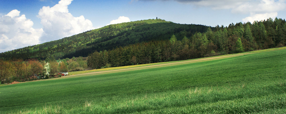 Louňovice pod Blaníkem, Pravěké hradiště a středověký hrad na vrchu Velký Blaník