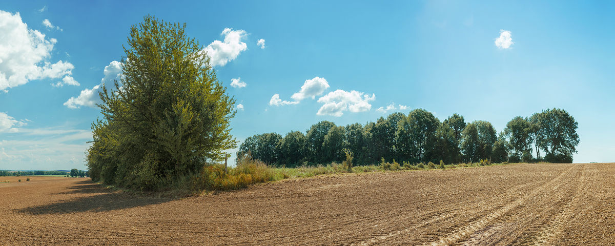 Markvartice u Sobotky, Iron Age enclosure 