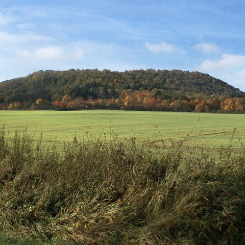 Vladař hilfort. 