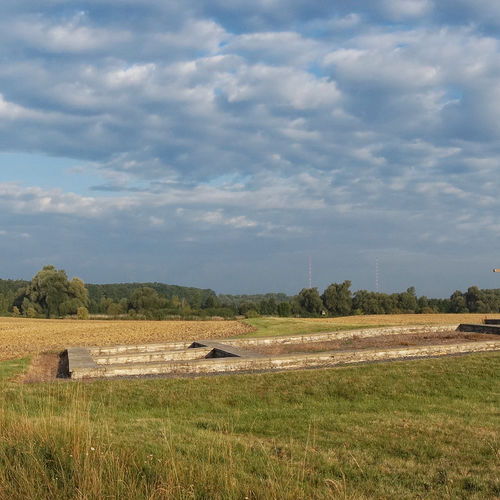 Acropolis of the hillfort from the east. 