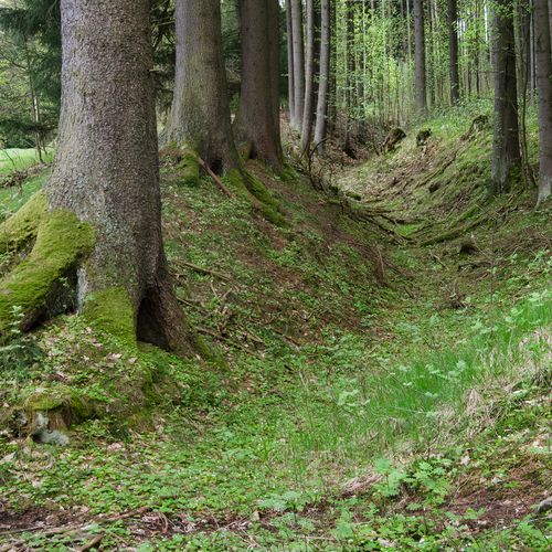 Jeden z úvozů zemské stezky stoupající od Oborské hájenky k samotě Hruškovna.