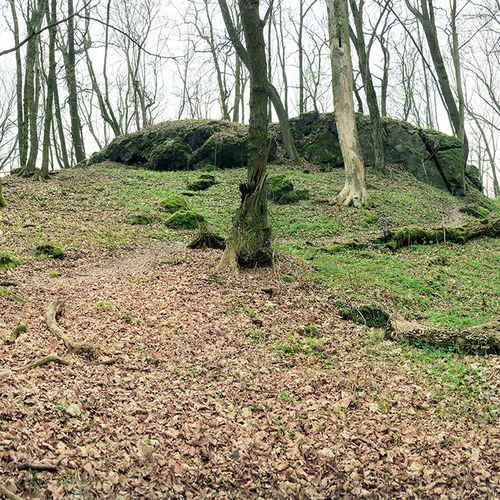 Castle, taken from south-east. 