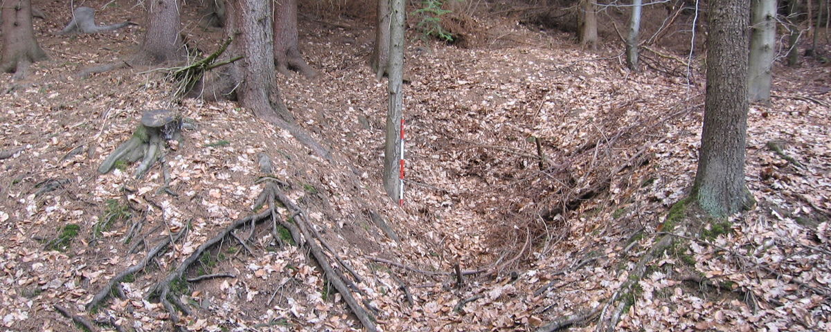 Březina, Pravěká lokalita a středověký hrad Špránek