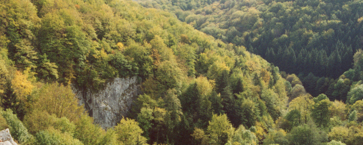 Habrůvka, Jeskyně Býčí skála