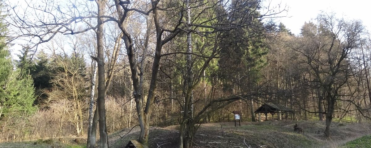 Heršpice, Zaniklá středověká vesnice Konůvky