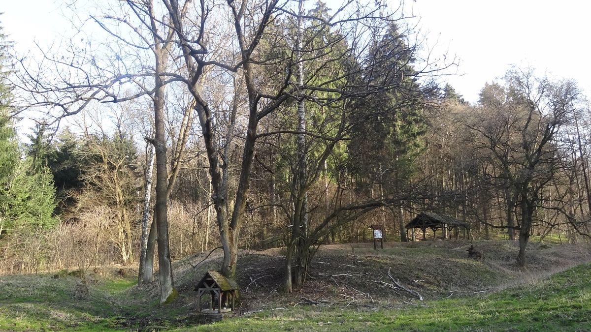 Overall view of the site.