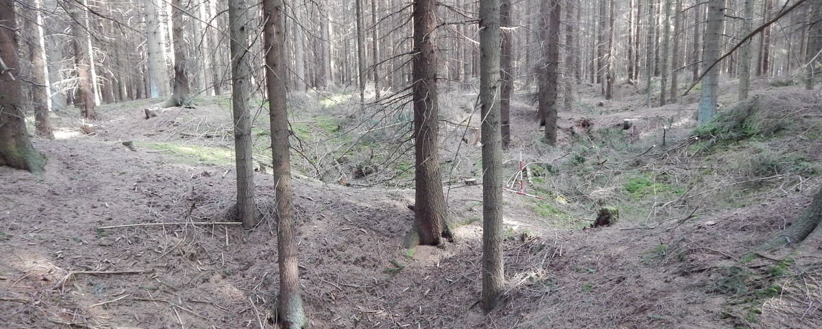 Hosov, Zaniklá středověká ves Bradlo