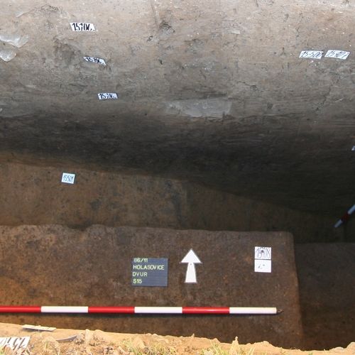 Archaeological excavation in 2011; section of the prehistoric ditch.