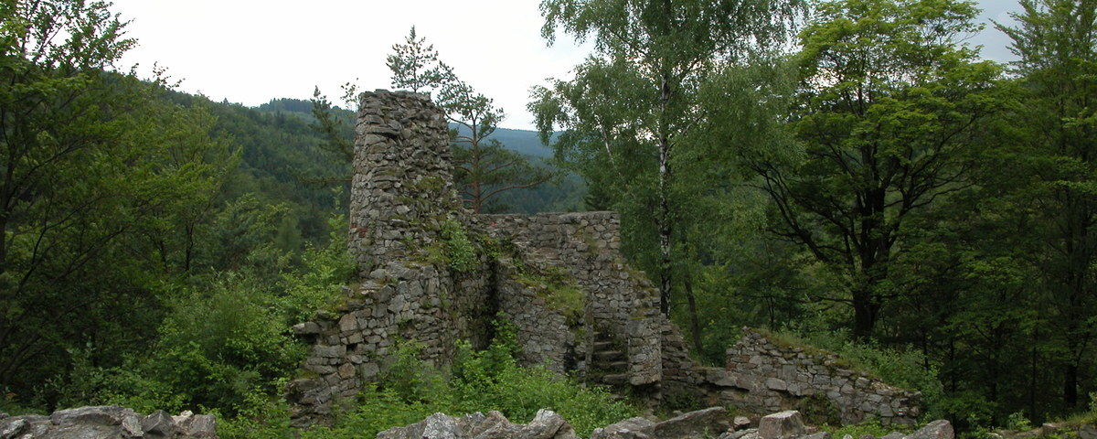 Javorník-město, Středověký hrad Rychleby