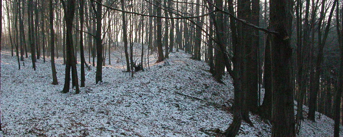 Lechovice u Pavlova, Pravěké hradiště Obersko