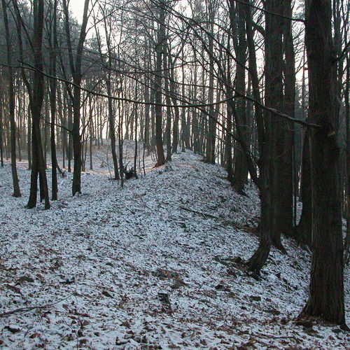 Část valu hradiště Obersko.