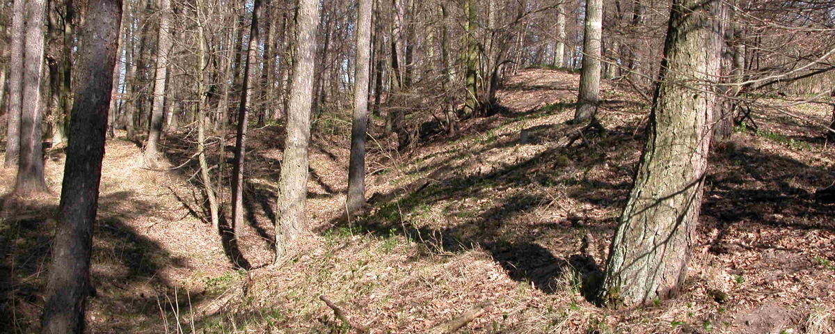 Náměšť na Hané, Prehistoric hillfort Rmíz
