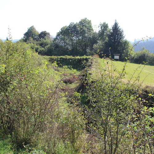 Defence ditch. 