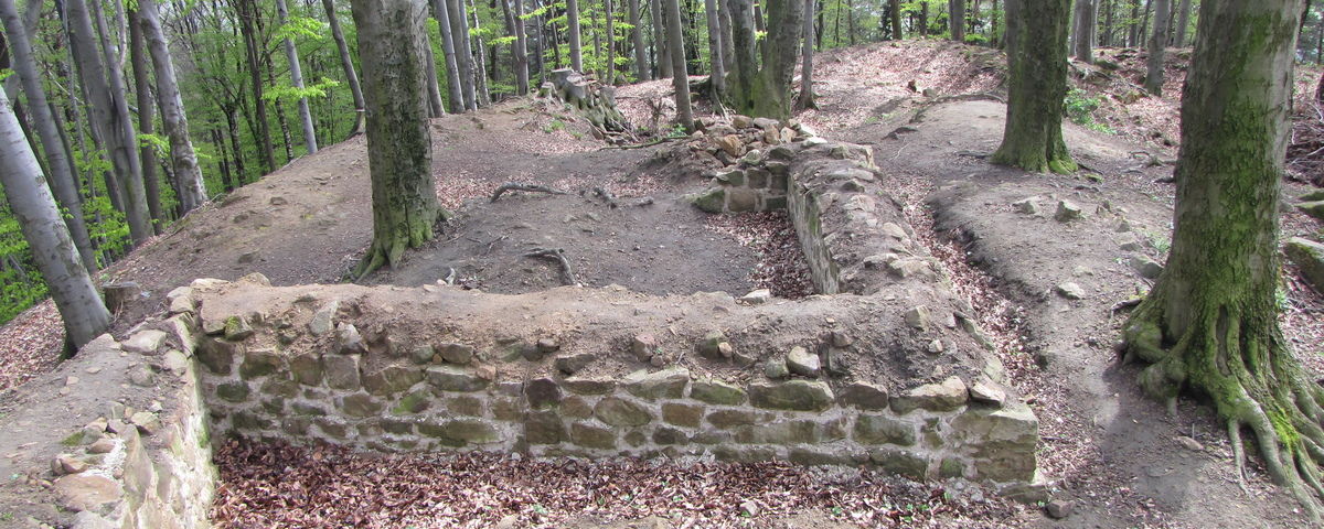 Podhradí u Luhačovic, Středověký hrad Starý Světlov