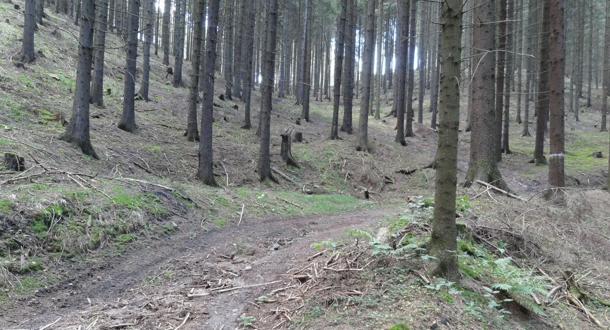 Milíř M11. 