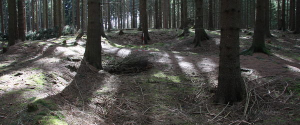 Rančířov, Medieval and early modern mining area 