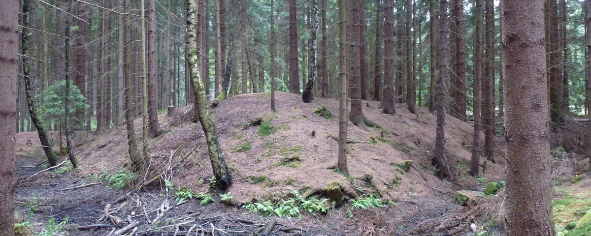 Skřinářov, Středověké tvrziště Rohy