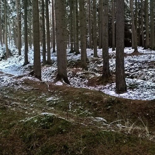 Bundle of hollow ways near Lavičná, west of Šubířov.