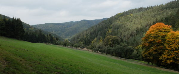 Štěpánov nad Svratkou, Medieval mining area Havírna