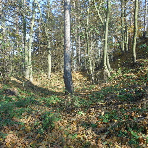 View of the ditch.