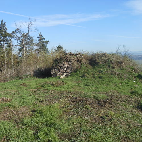 View of the chapel walls from the west. 