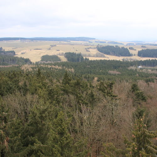 View from the Mařenka outlook tower towards the north. 