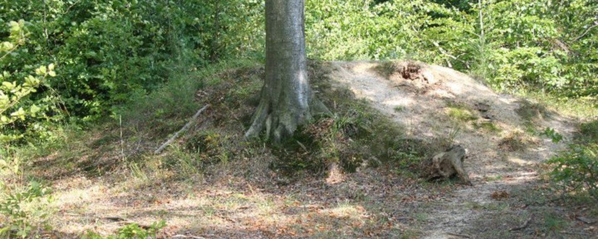 Vrbka u Sulimova, Raně středověké mohylové pohřebiště Tabarky