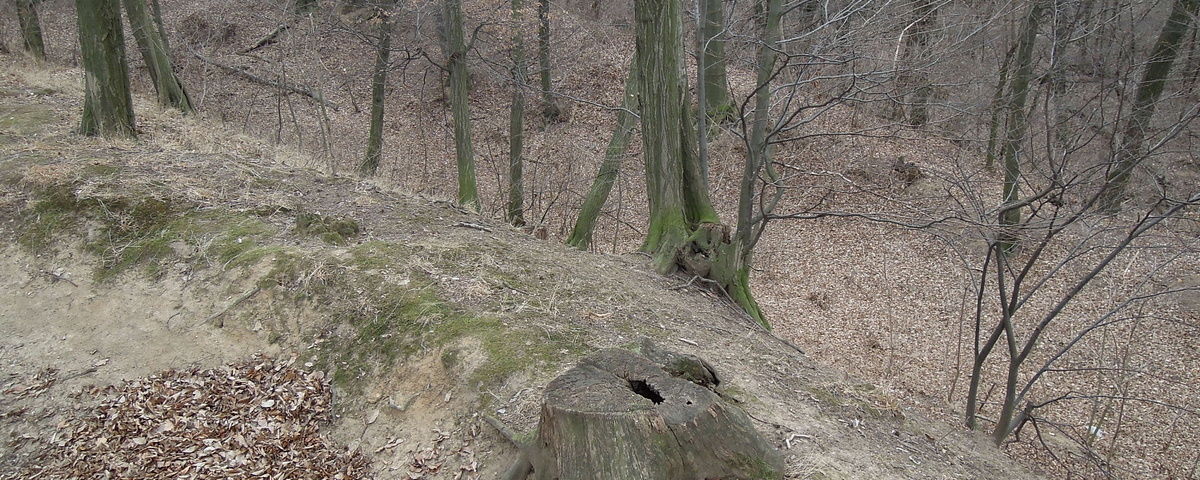 Žeranovice, Tvrziště Hrádek