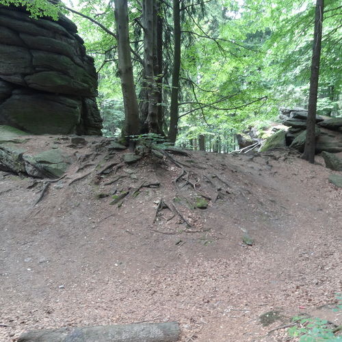 Short stone rampart between the rocks in the south part of the area.