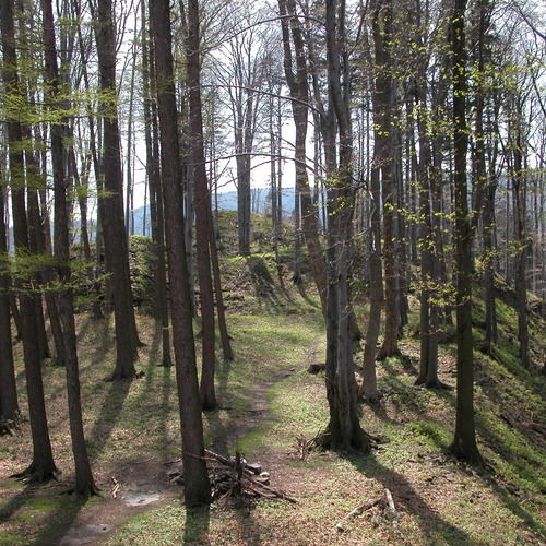 Celkový pohled na předhradí a horní hrad (v pozadí) od severu.