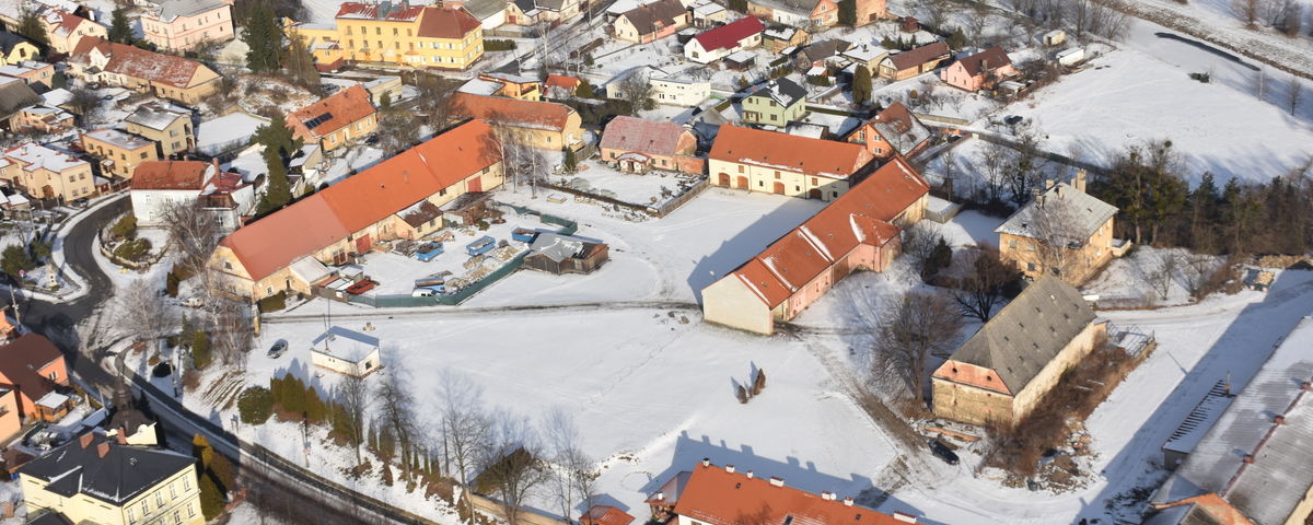 Holasovice, Pravěké hradiště a zeměpanský hospodářský dvůr