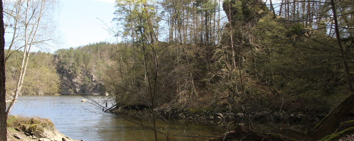Plešice, Středověký hrad Holoubek se vsí a tvrzí