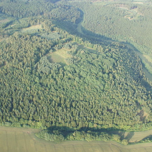 Aerial view of the site.