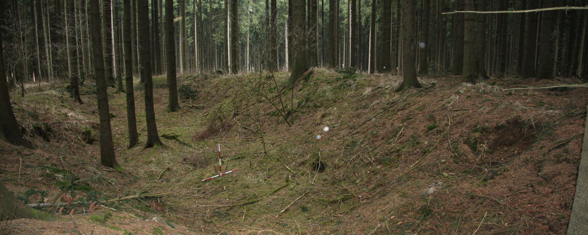 Svojkovice na Moravě a Želetava, Zaniklý hornický a sídelní areál u Svojkovic a Hor