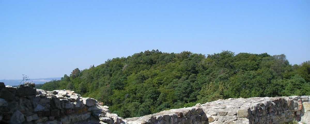 Boskovice, Hrad Boskovice