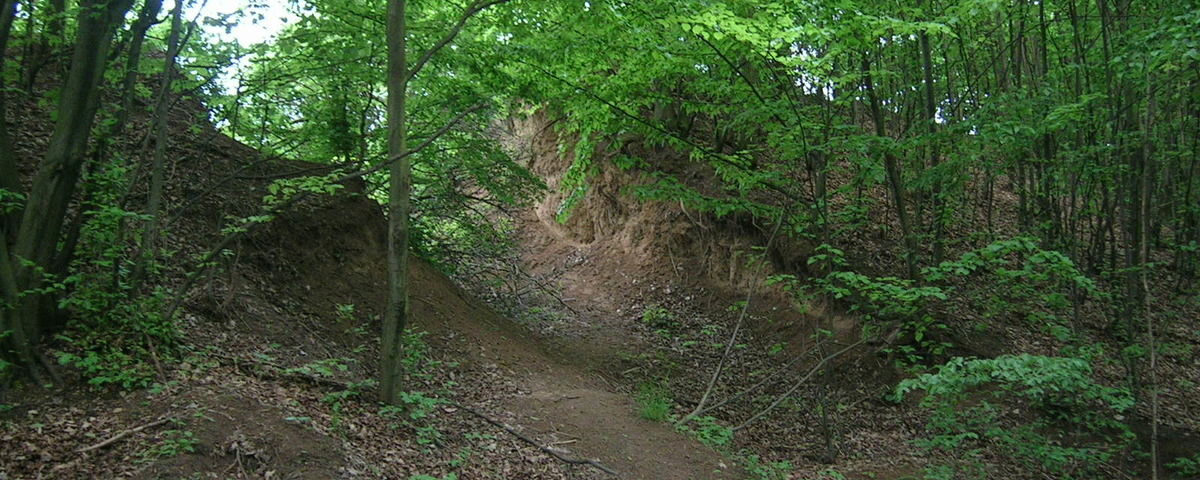 Obřany, Pravěké hradiště Hradisko