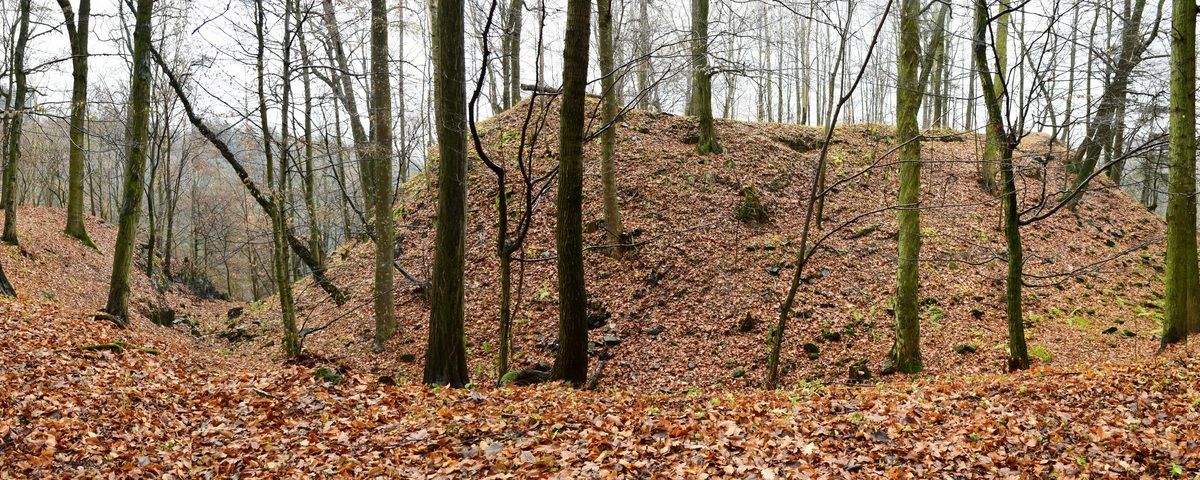 Kyžlířov, Středověký hrad Pustý zámek