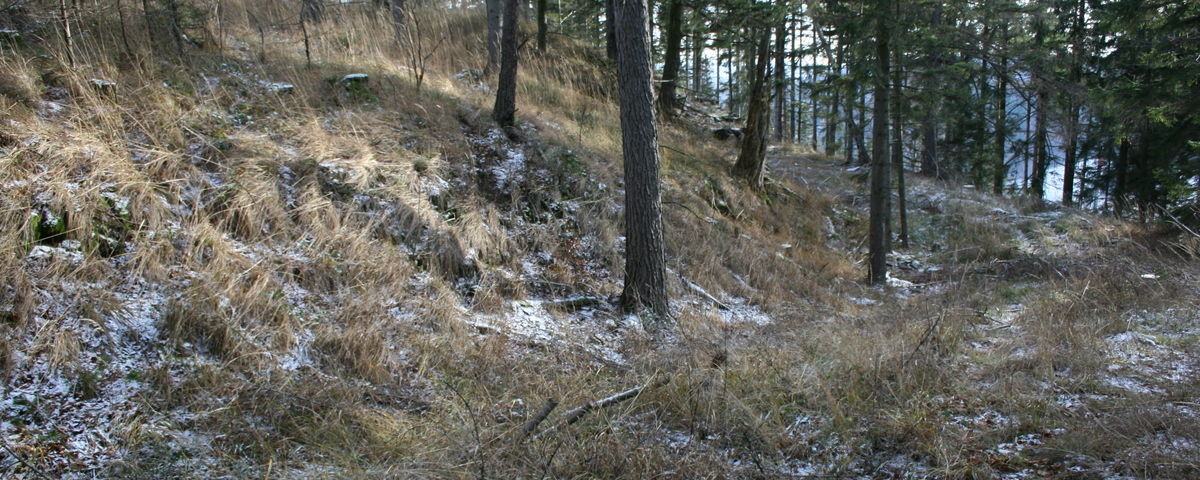 Vraclávek, Medieval castle Luginsland