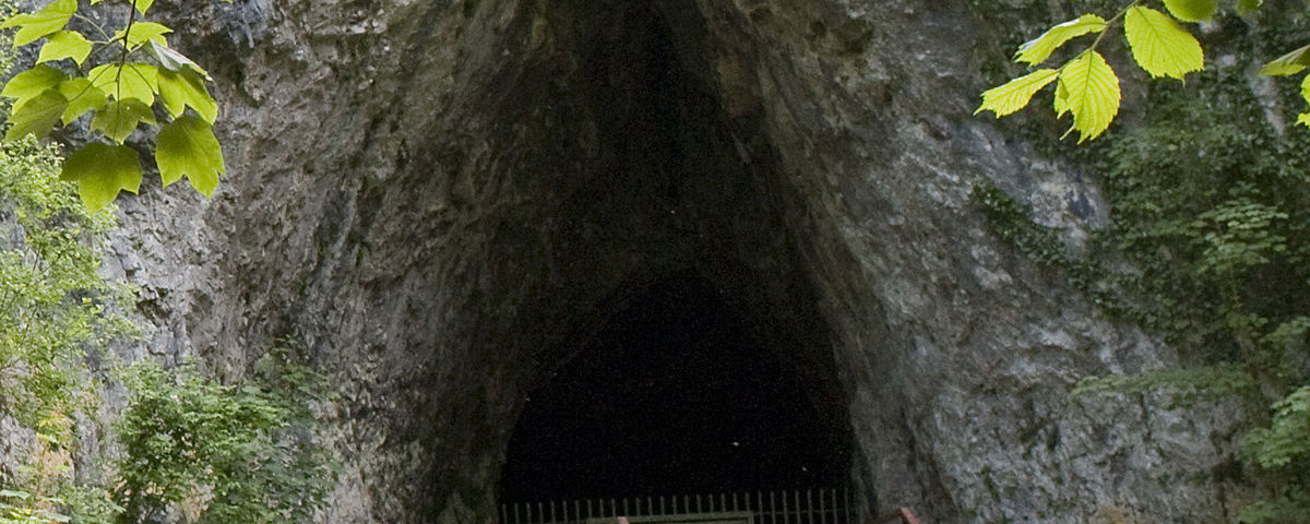 Suchdol v Moravském krasu, Kateřinská Cave