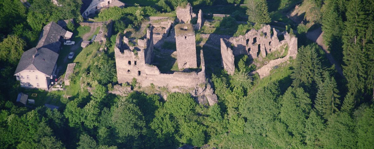 Panská Lhota, Hrad Rokštejn