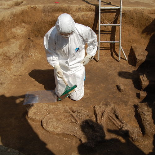 Taking samples for natural scientific analyses in the chamber tomb with the skeletal remains of a male from the Eneolithic Bell Beaker culture.