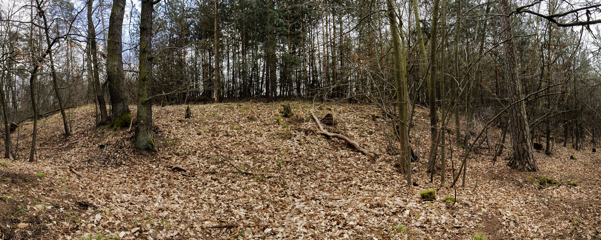 Sudice u Boskovic, Hradisko Na Vejštici – výšinná opevněná lokalita jevišovické kultury