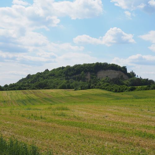 Pohled na Malý Chlum od jihovýchodu. Na východní straně kopce je patrný kamenolom, který odtěžil část lokality.