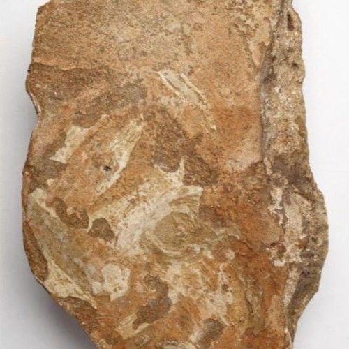 Fragment omítky zdobené malbou s vyobrazením lidského obličeje, 9. století. Moravské zemské muzeum. 