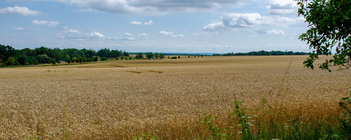 Bylany u Kutné Hory, Neolitické sídliště a rondely