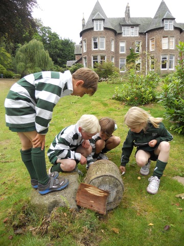 Ardvreck School photo